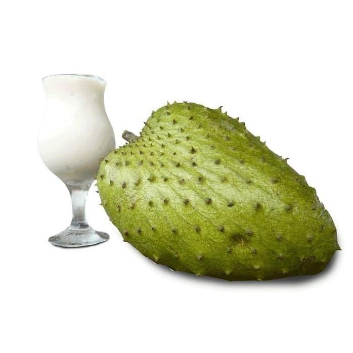 

Terlaris Benih / Biji / Bibit Sirsak, Nangka Belanda, Durian Belanda