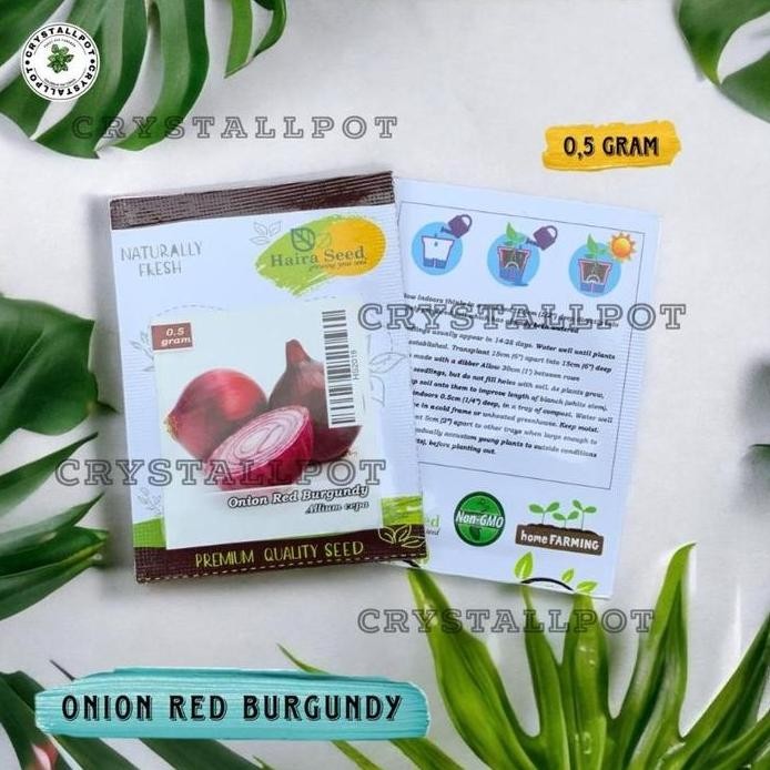 

Terlaris Benih Bibit Bawang Merah Red Burgundy Haira Seed - Bawang Merah Red Burgundy