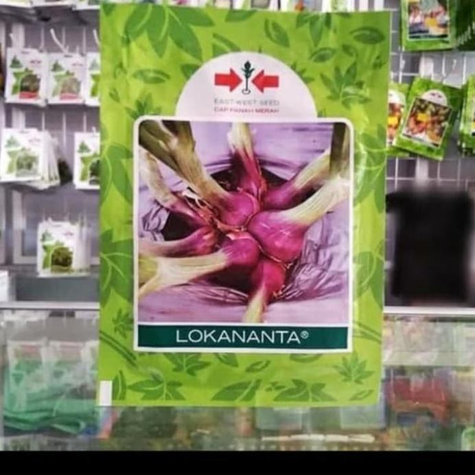 

Terlaris Benih Bibit Bawang Merah Lokananta