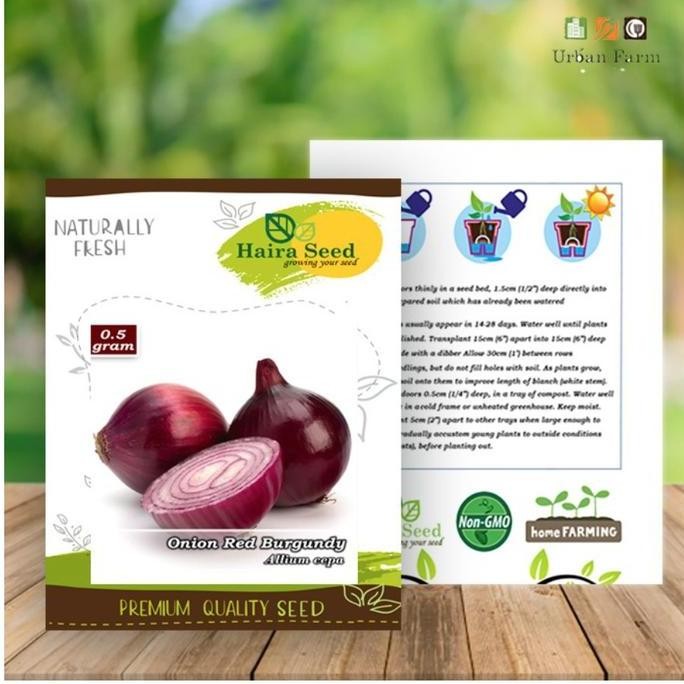 

Terlaris Benih-Bibit Bawang Merah "Onion Red Burgundy" (Haira Seed)
