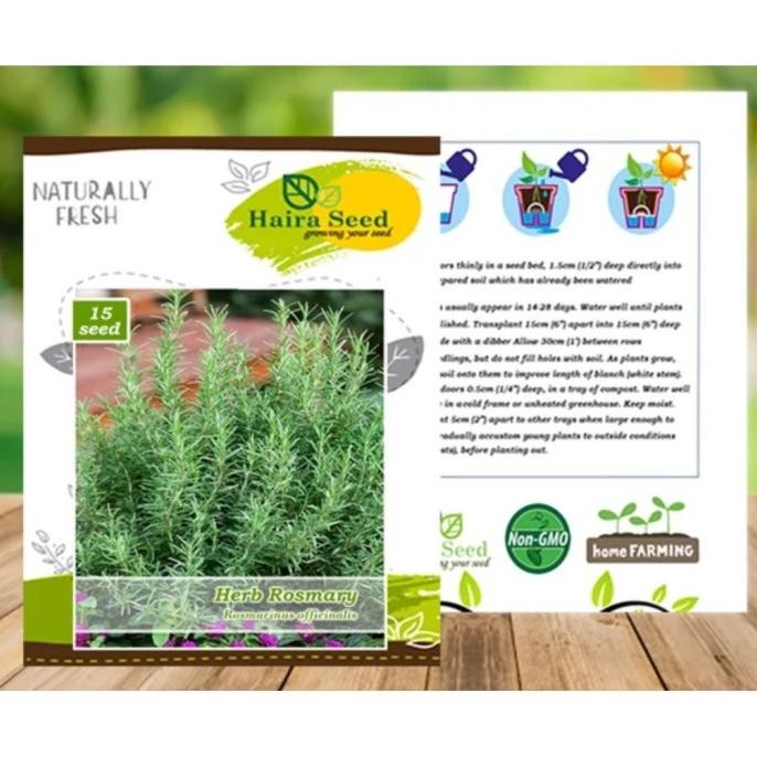 

Terlaris Benih Bibit Herba Herb Rosemary Haira Seed (15 Butir)