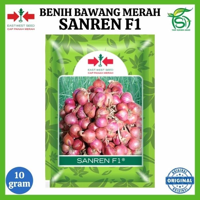 

Terlaris Ready Benih Bawang Merah Sanren F1 (10 Gram) - Bibit Cap Panah Merah 10 Gr