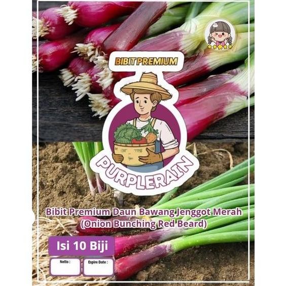 

Terlaris Bibit Premium Daun Bawang Jenggot Merah Onion Bunching Red Beard