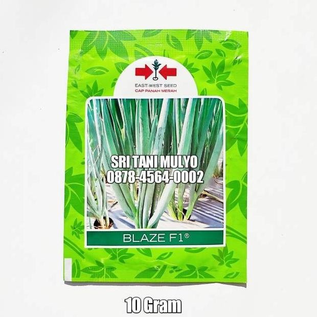 

Terlaris Benih Bawang Daun Blaze F1 10Gr Cap Panah Merah Benih Oncang Bibit Unggul Sayuran Onclang Sayuran