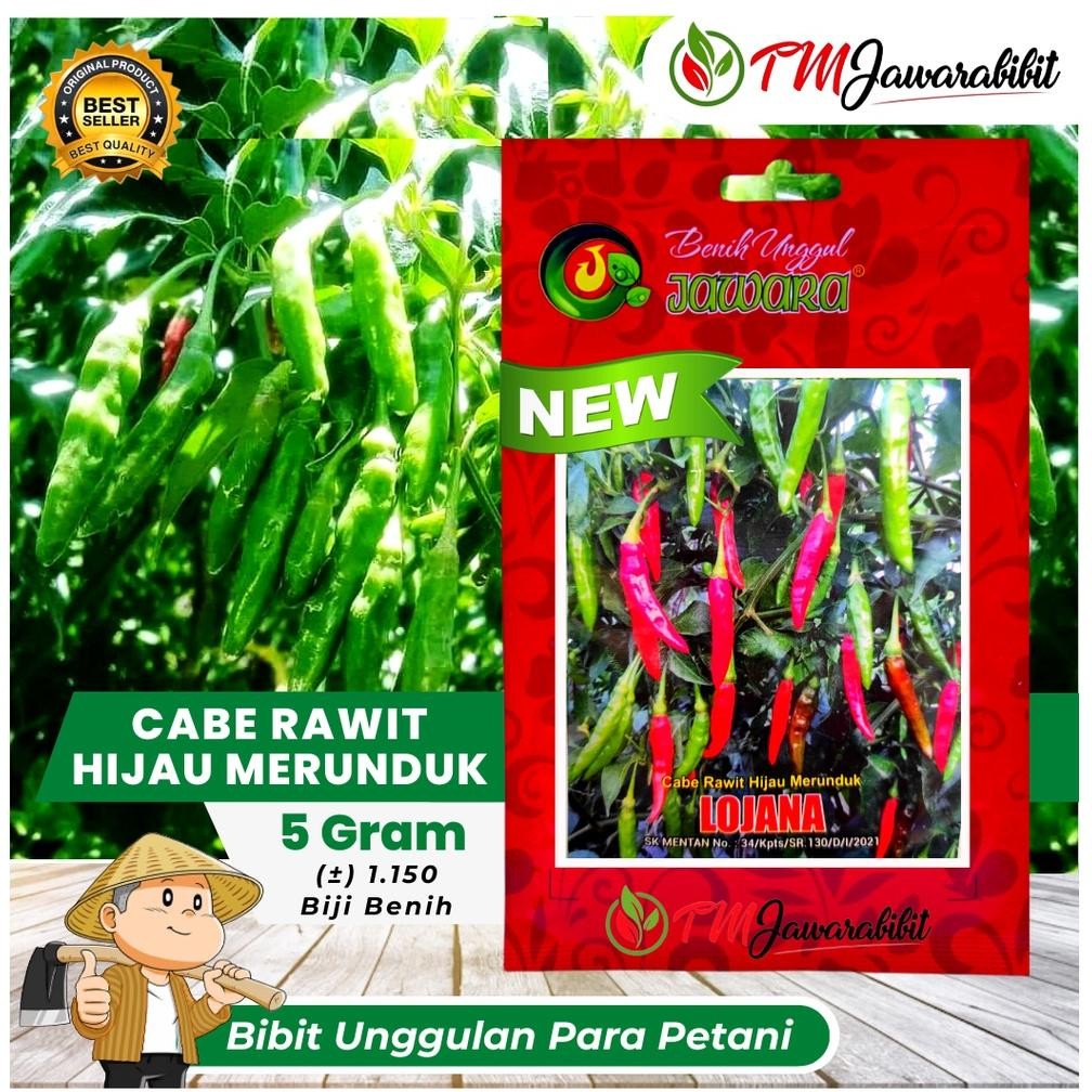 ISI 5 gram bibit cabe rawit hijau LOJANA || produk asli JAWARA
