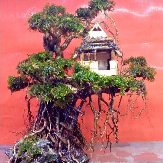 Terlaris Hiasan Aquarium Aquascape Rumah Pohon Gantung Siap Pasang