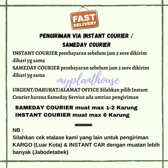 

Terlaris New Pupuk Kandang Kambing Organik ( 5 Kg ) Khusus Sameday & Instant Courier Terlaris