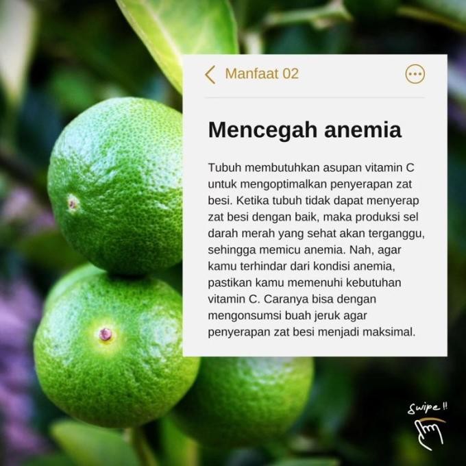 

Terlaris Bibit Jeruk Nipis Hasil Okulasi Cepat Berbuah Dfnkqe 8464Rw