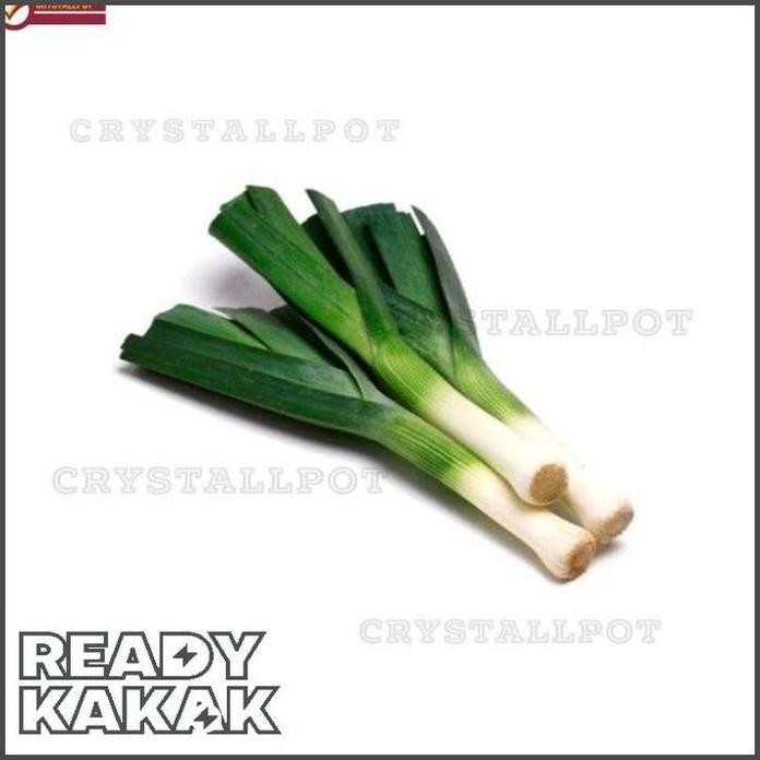 

Terlaris Benih Bibit Daun Bawang Freda Known You Seed - Kys Freda Kemasan Merah