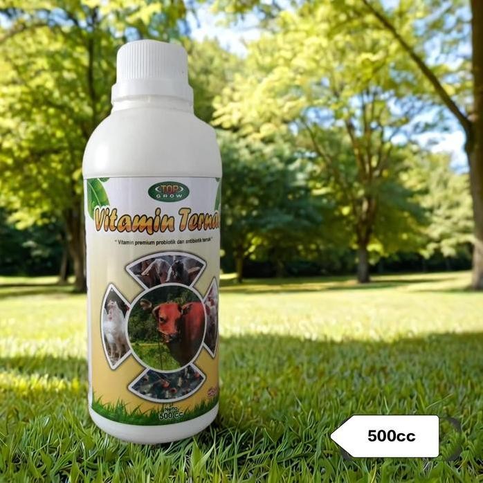 

Terlaris Top Grow Vitamin Ternak 500Ml - Vitamin Premium Probiotik Dan Antibiotik Ternak (Vitamin Sapi, Ayam, Kambing, Ikan, Babi, Dan Hewan Ternak Lainnya)