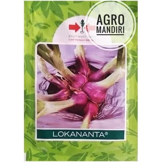 

Terlaris Benih Bibit Bawang Merah Lokananta 10 Gram Cap Panah Mer Tolttu 2613Nr