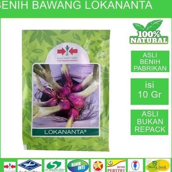 

Terlaris Bibit Benih Unggul Biji Seed Unggul Bawang Merah Lokananta Sanren 10Gr