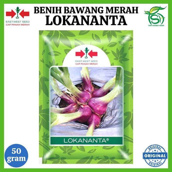 

Terlaris Rediy Benih Bawang Merah Lokananta 50 Gram - Bibit Cap Panah Merah 50 Gr