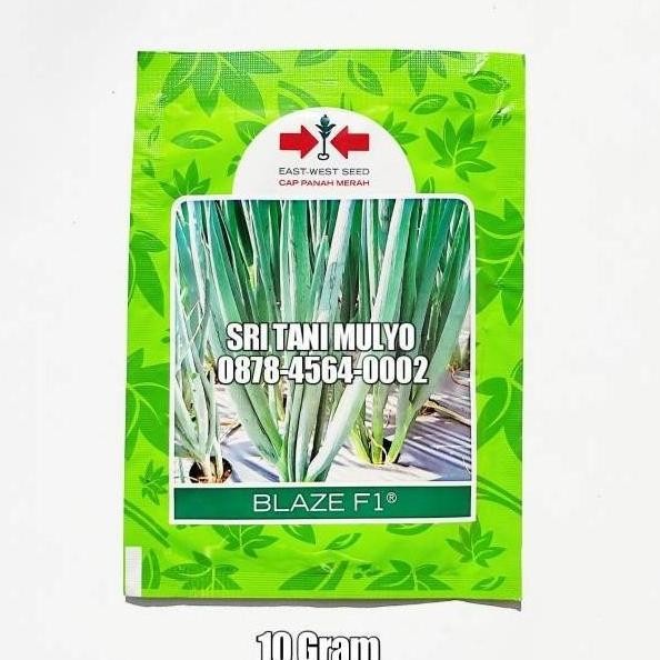 

Terlaris Ready Fresh Benih Bawang Daun Blaze F1 10Gr Cap Panah Merah Benih Oncang Bibit