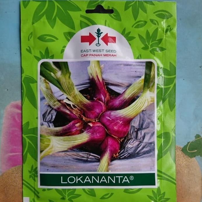 

Terlaris Ready Fresh Benih Bibit Bawang Merah Lokananta 800Bj