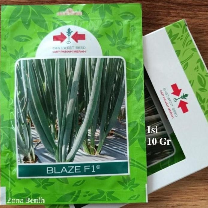

Terlaris Bibit Benih Daun Bawang Blaze F1 Isi 10 Gram. Original Cap Panah Merah