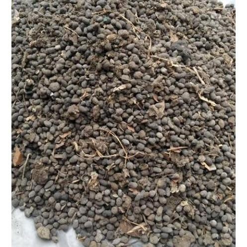 

Terlaris Pupuk Kandang Organik Super