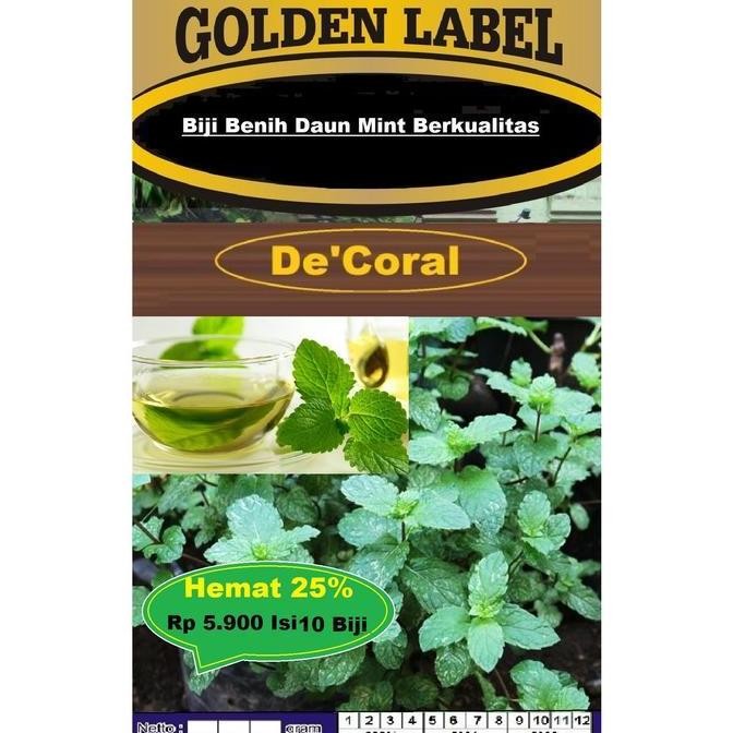 

Terlaris Ankn Biji Benih Daun Mint Berkualitas | Bibit Daun Mint