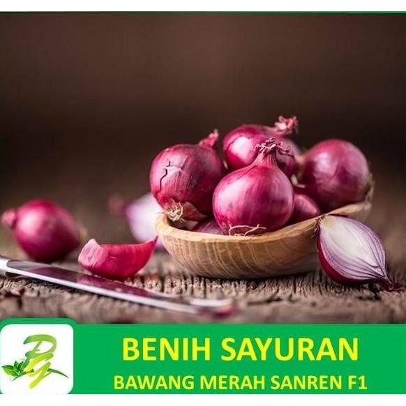 

Terlaris Peerina - Benih Bibit Biji Bawang Merah Sanren F1