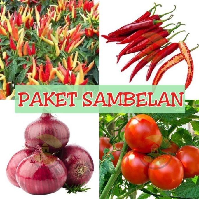 

Terlaris Diskon Paket Hemat Sn Benih Sambelan Benih Bibit Sn Tomat Bawang Merah Cabai Merah Besar Cabai Rawit Merah Ready Stock