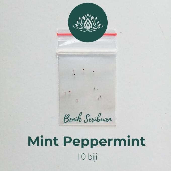 

Terlaris 10 Benih Daun Mint Bibit Herb Peppermint Leaf Herbal Premium Import