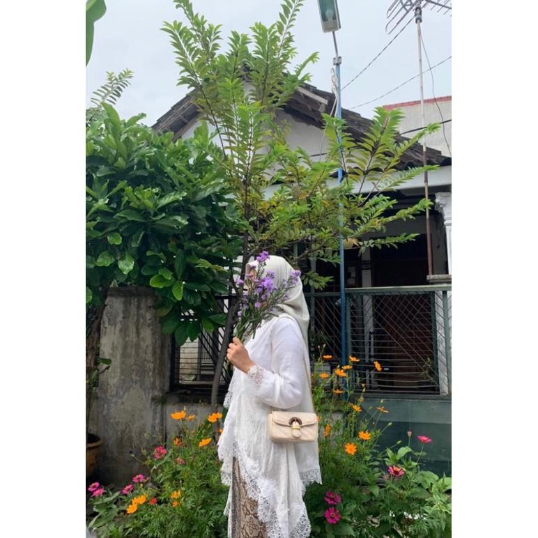 SY Outer Lace Viscose/ Nagita Outer Lace / Outer Brukat / Outer Renda / Kebaya Modern / Kebaya Bruka