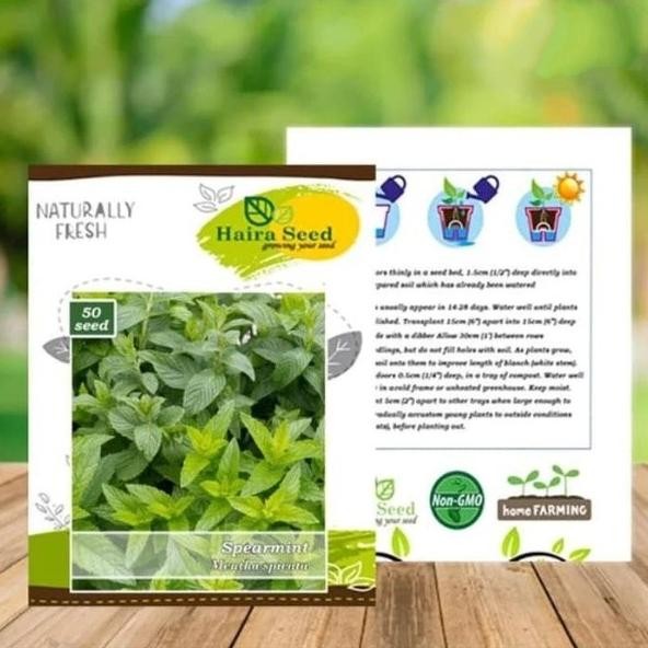 

Terlaris Benih Bibit Biji Herb Spearmint Herbs Herba Daun Mint Sp Ditkya 1068Vm