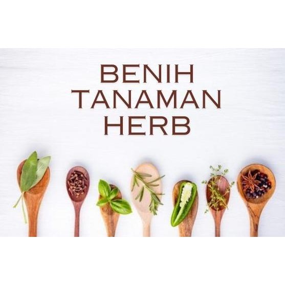 

Terlaris Benih Herbal Bibit Herb Herba Daun Mint Peppermint Daubumbu Basil Kale
