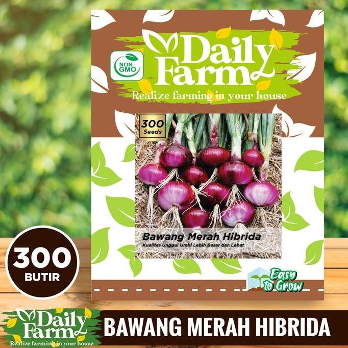 

Terlaris Daily Farm - Benih Bibit Bawang Merah Hibrida