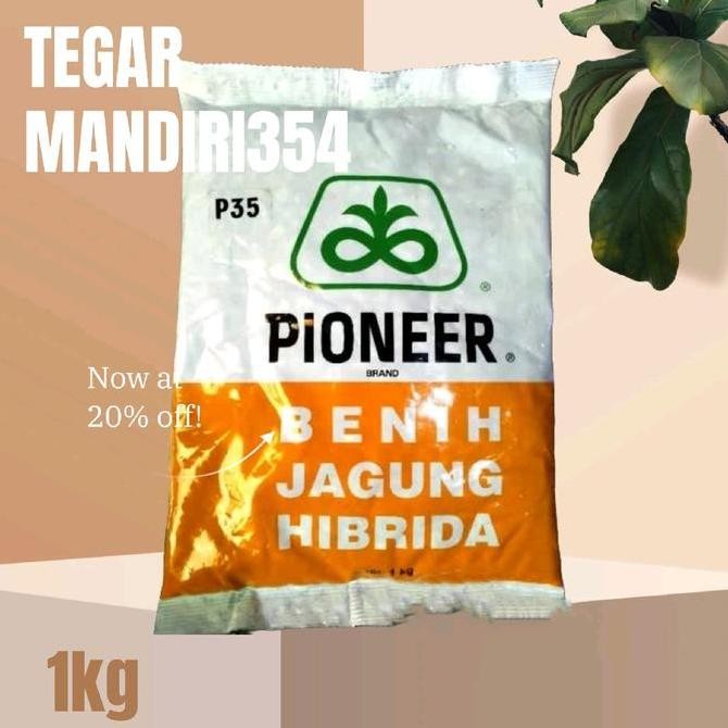 || BANANA / Benih jagung p 35 Bibit jagung pioner p35 ||~~~
