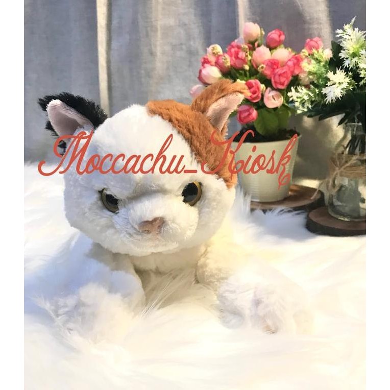 Sunlemon plush doll Hiza Neko Calico Cat / boneka kucing Calico