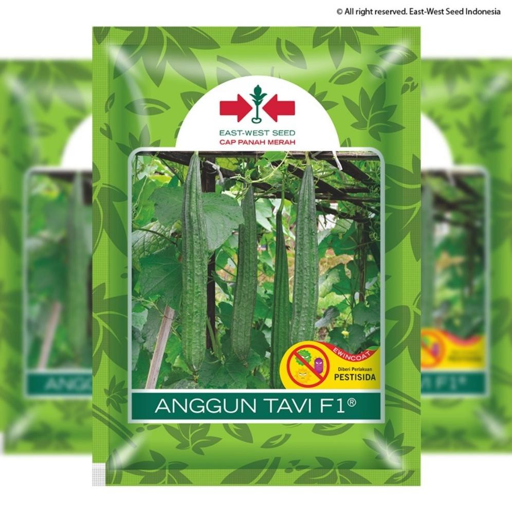 75 BUTIR BENIH OYONG ANGGUN TAVI F1