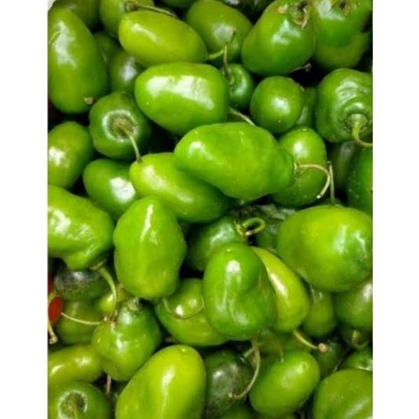 

Buktikan Cabai Bendot Cabe Gendot Bandung Segar 250Gr Ekstra Pedas