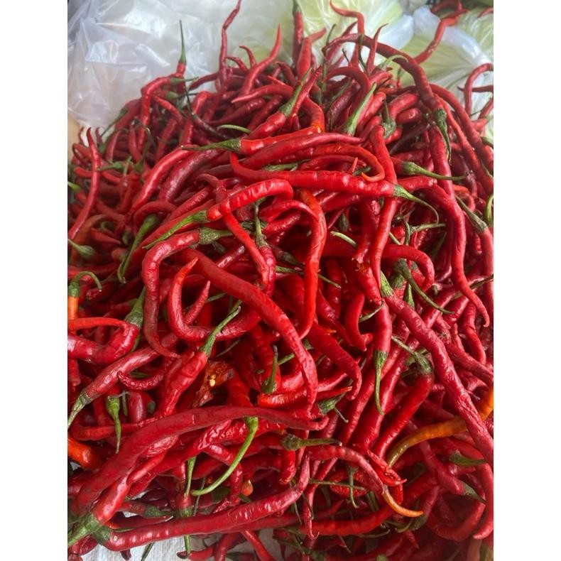 

Efisien Cabe Merah Kriting 1 Kg Murah Meriah