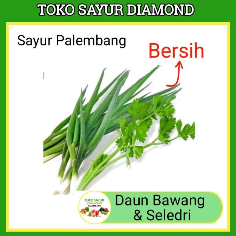 

Mudah Digunakan Daun Sop & Bawang 1 Ikat - Palembang