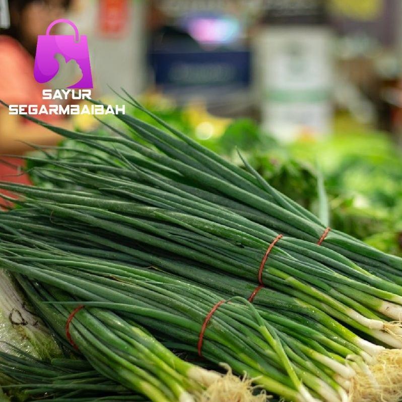 

Trending Daun Bawang+Seledri 250 Gram