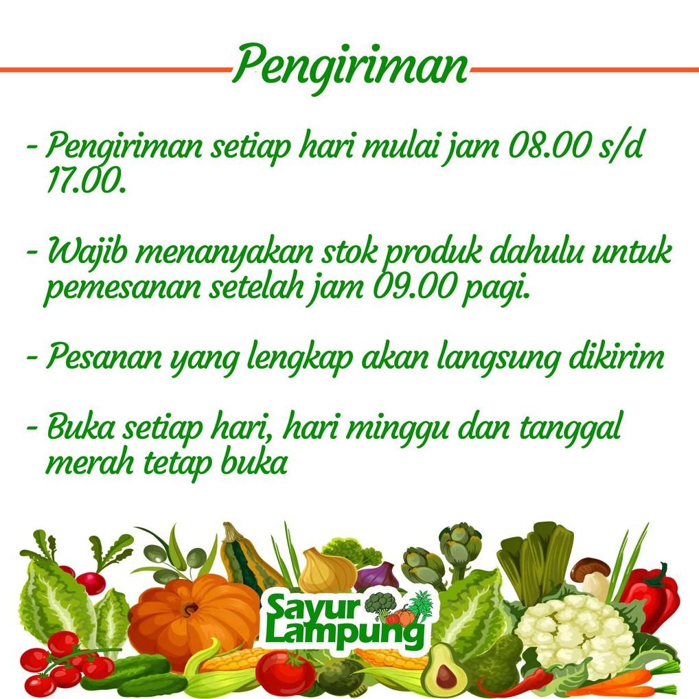 

Bisa Diandalkan Tempe 1 Pcs - Sayur Lampung