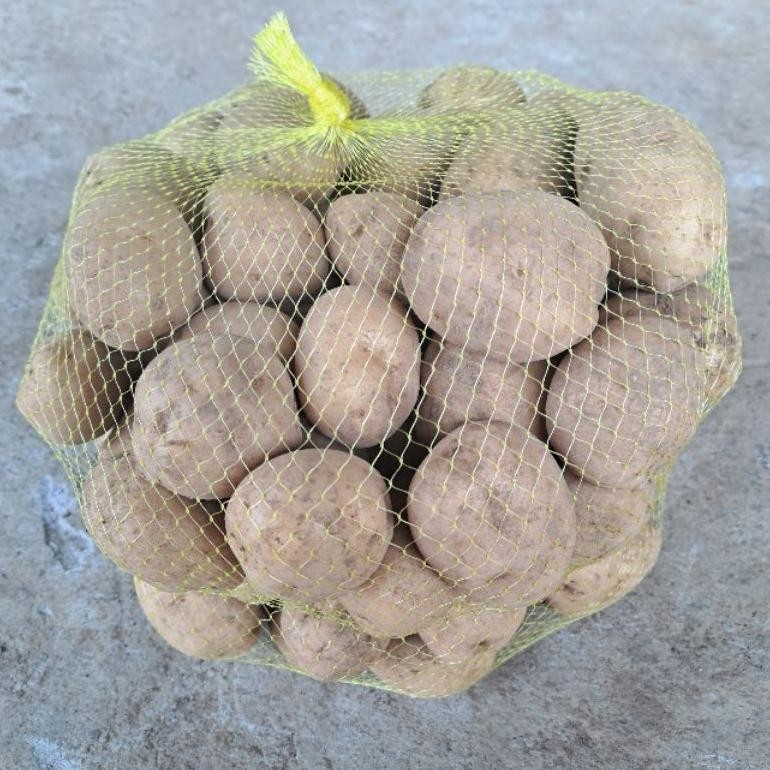 

Terpercaya Kentang Dieng Sedang 1 Kg Isi 8-15
