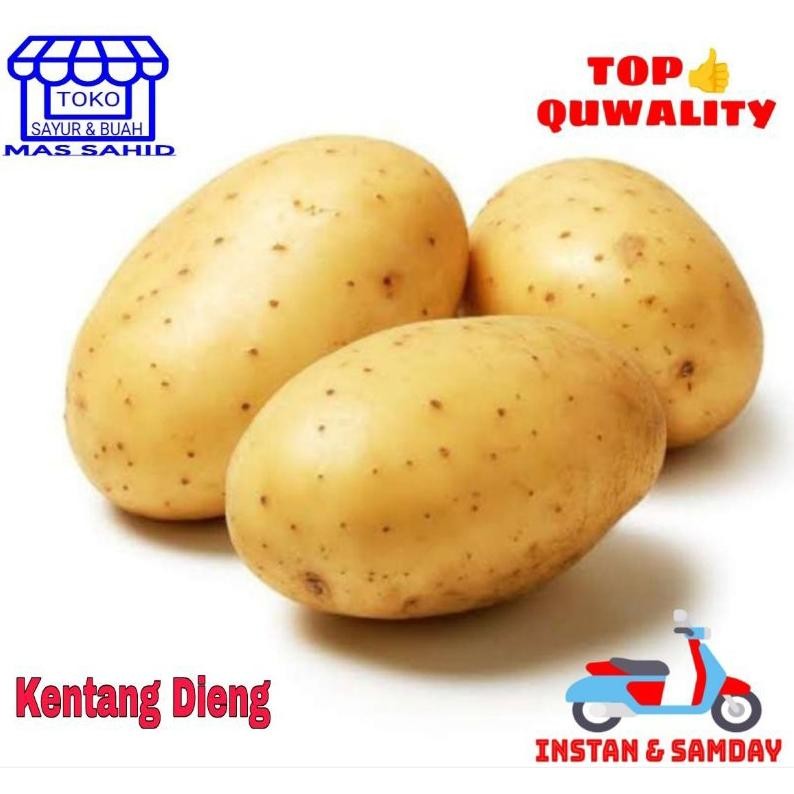 

Kualitas Terbaik Kentang Dieng Kentang Asli Pegunungan Dieng