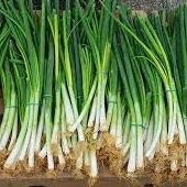 

Premium Daun Bawang Pre Segar, 1 Ikat