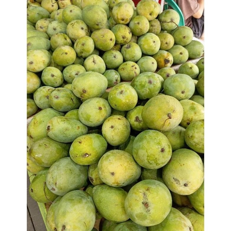 

Keuntungan Mangga Harum Manis 1Kg 4/5 Manis Dan Harum
