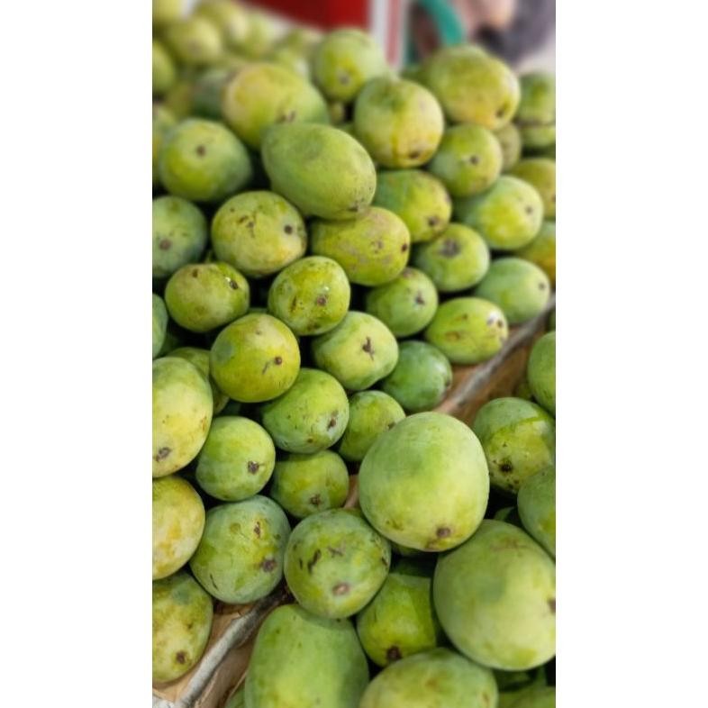 

Momen Spesial Mangga Harum Manis 1Kg 4/5 Manis Dan Harum