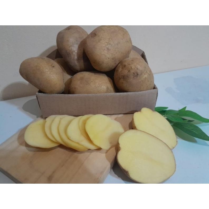 

Promo Bulan Ini Kentang Besar Jumbo Super[ Juragan Lokal ] 1 Kg