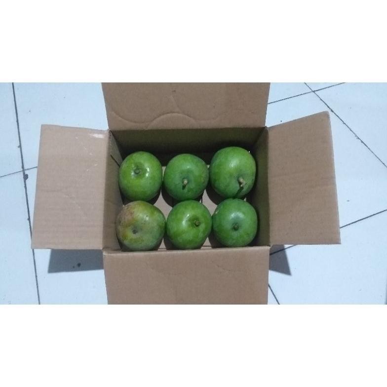 

Tangguh Mangga Apel 1 Kg/Mangga Rujak