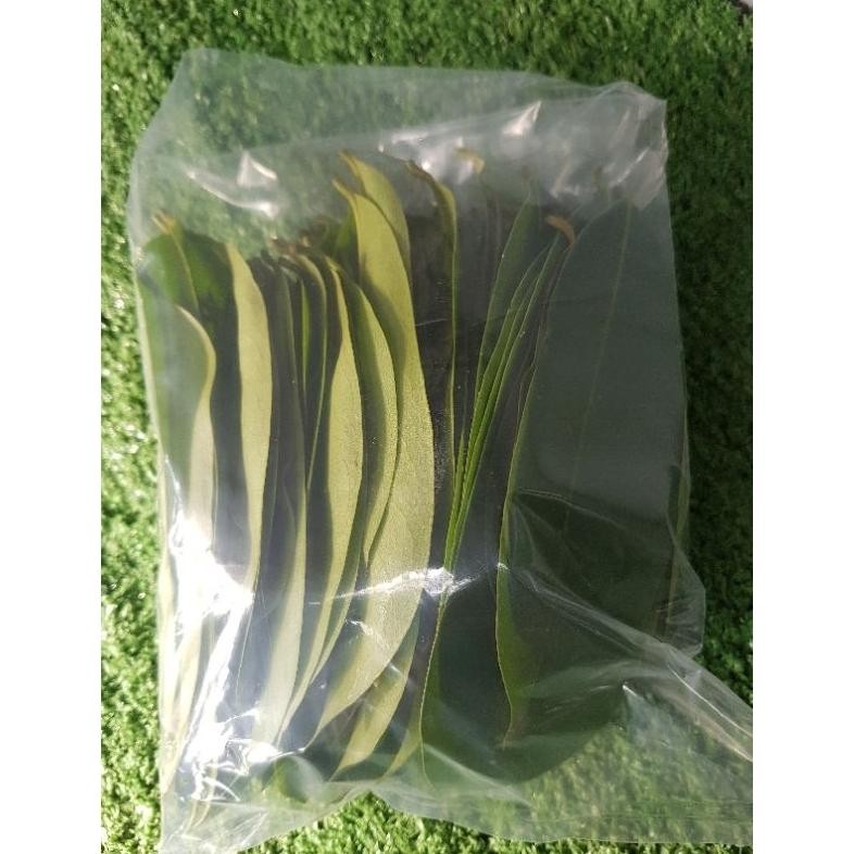 

Desain Elegan Daun Sirsak Segar Langsung Petik Pohon 150 Gram