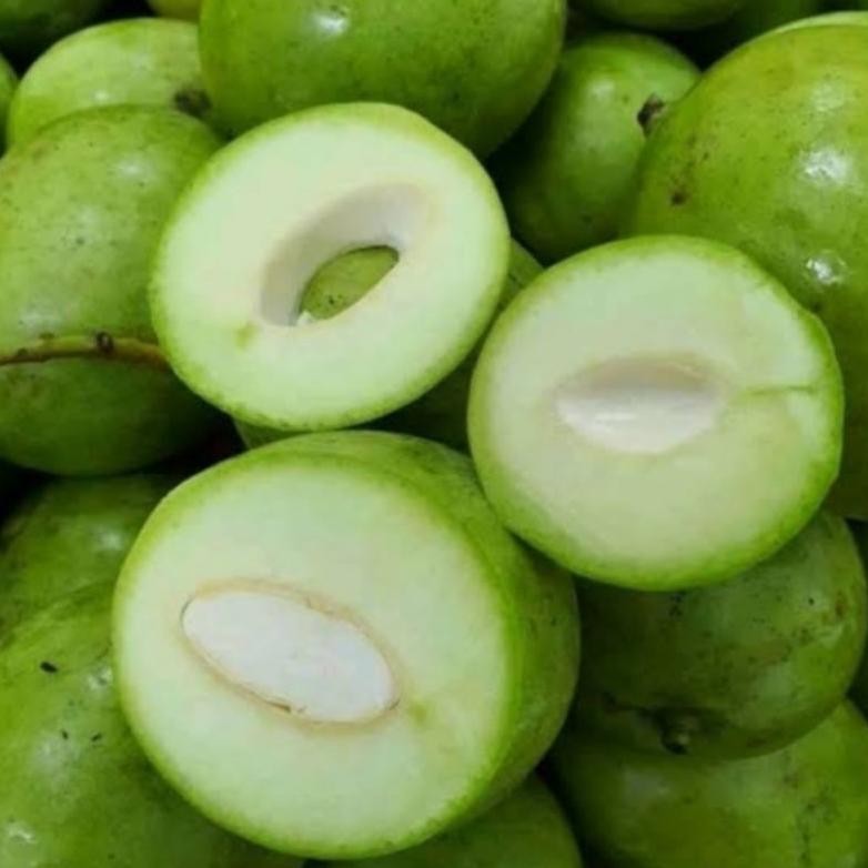 

Aman Terbaik Mangga Telur/ Mangga Donat Viral/ Mangga Rujak 1 Kg