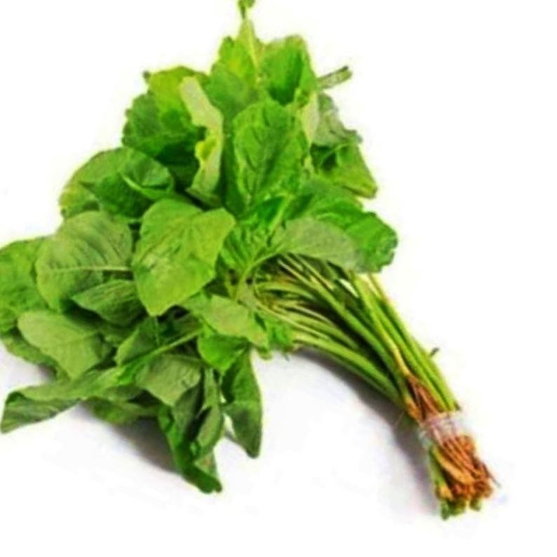 

Tahan Lama Sayur Daun Katuk, Bayam Hijau, Bayam Merah, Kangkung, Caisim, Sayur Segar Ibaza Fruitsbox