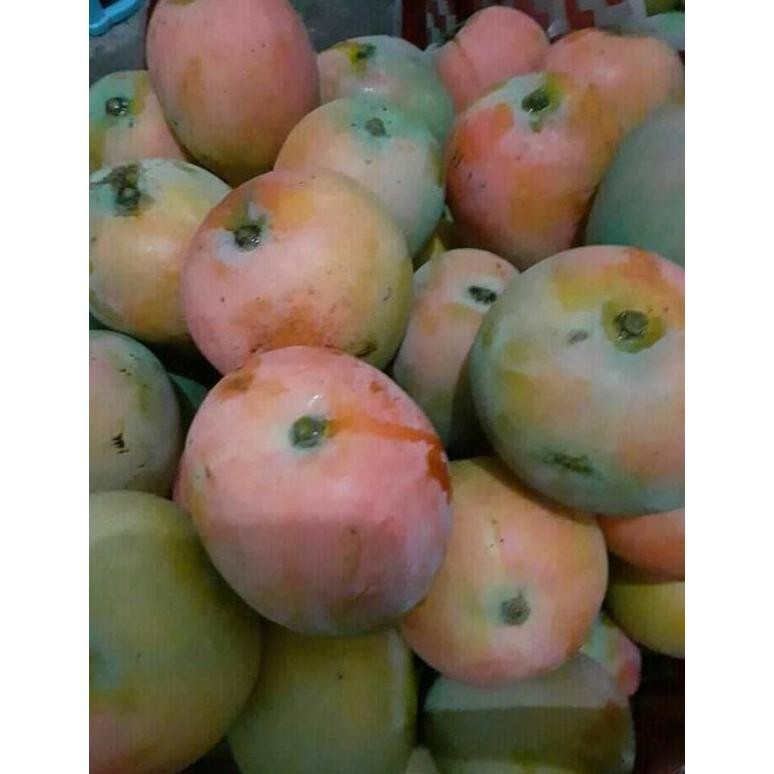 

Elegan Mangga Gincu Super 1Kg (Premium) | Ud Sidomulyo Buah