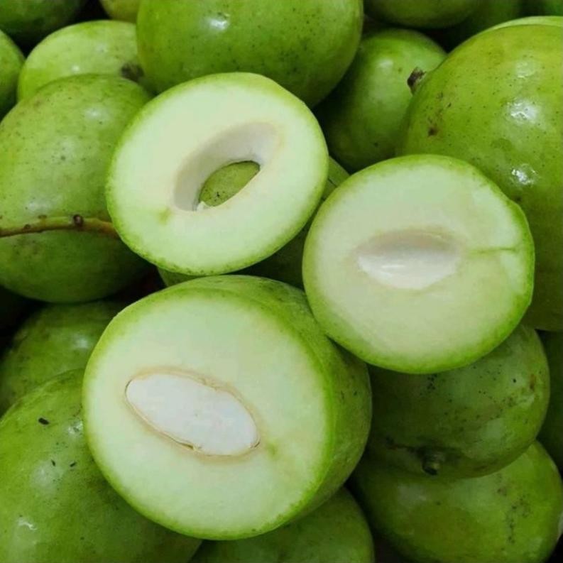 

Pilihan Tepat Mangga Muda Fresh / 1Kg
