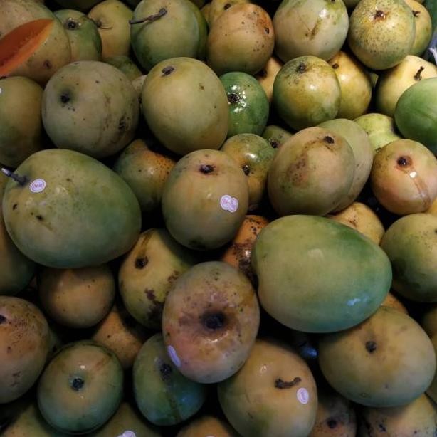 

Bisa Diandalkan Mangga Gedong Gincu Segar 1Kg Manis Alami
